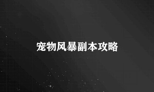 宠物风暴副本攻略