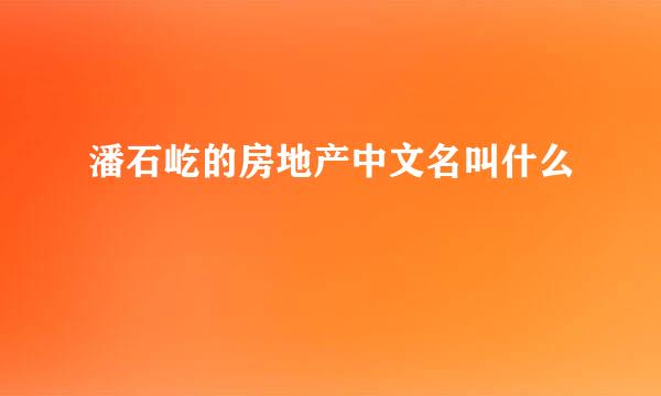 潘石屹的房地产中文名叫什么