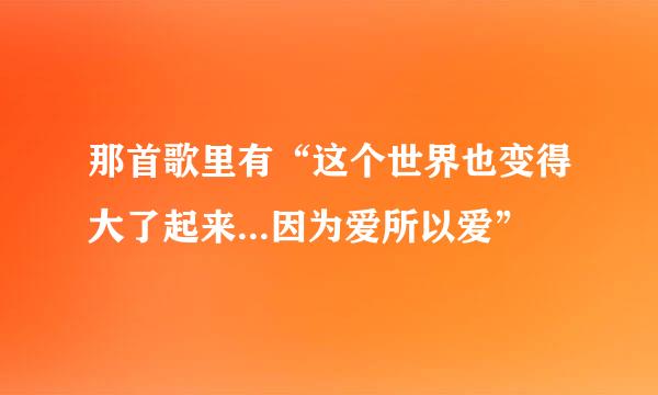 那首歌里有“这个世界也变得大了起来...因为爱所以爱”