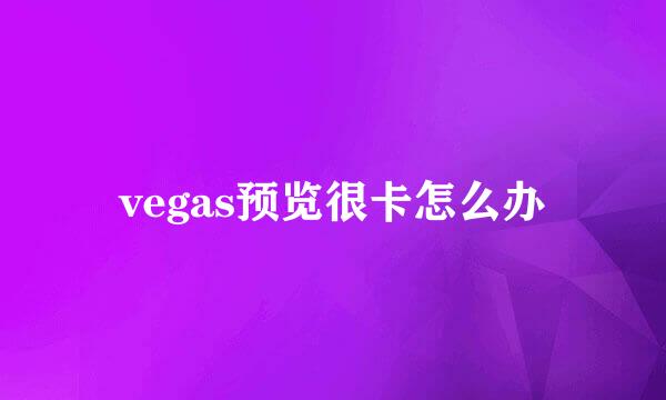 vegas预览很卡怎么办