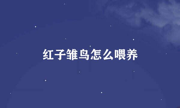 红子雏鸟怎么喂养