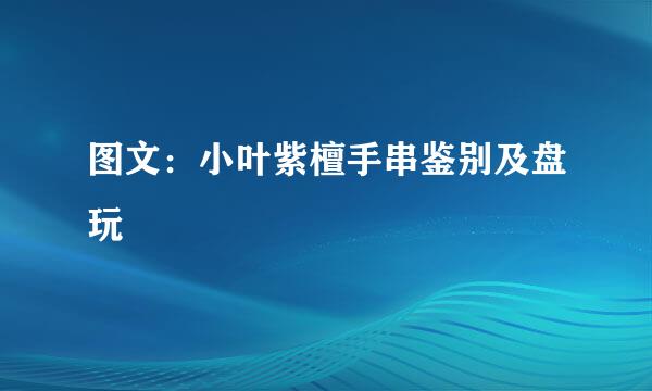 图文：小叶紫檀手串鉴别及盘玩