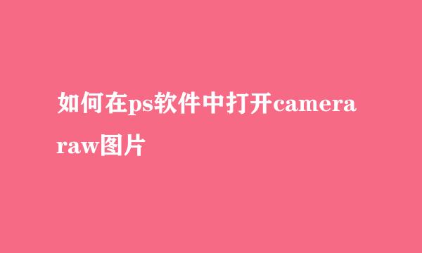 如何在ps软件中打开camera raw图片