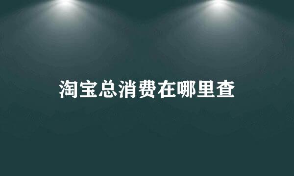 淘宝总消费在哪里查
