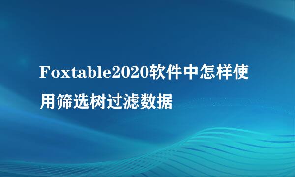 Foxtable2020软件中怎样使用筛选树过滤数据