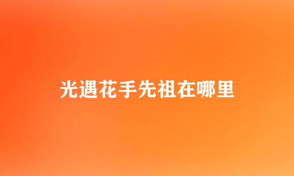 光遇花手先祖在哪里