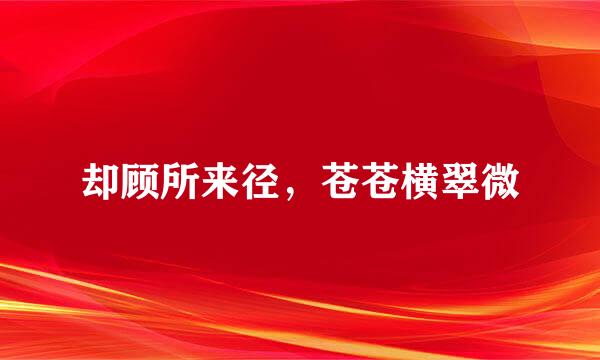 却顾所来径，苍苍横翠微
