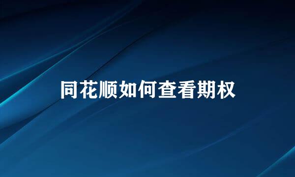 同花顺如何查看期权