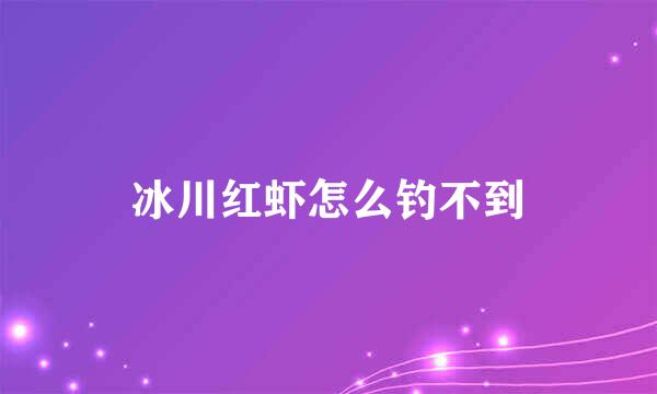 冰川红虾怎么钓不到