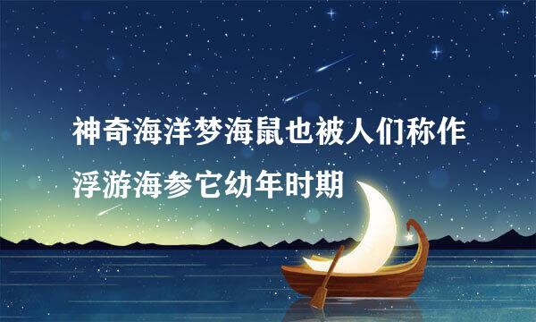 神奇海洋梦海鼠也被人们称作浮游海参它幼年时期
