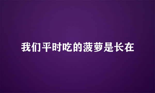 我们平时吃的菠萝是长在