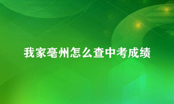 我家亳州怎么查中考成绩