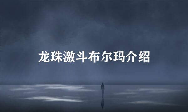 龙珠激斗布尔玛介绍