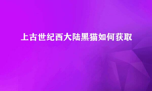 上古世纪西大陆黑猫如何获取