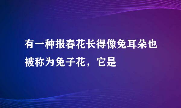 有一种报春花长得像兔耳朵也被称为兔子花，它是