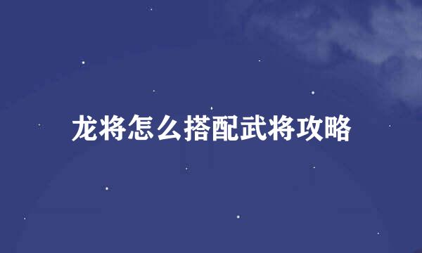 龙将怎么搭配武将攻略