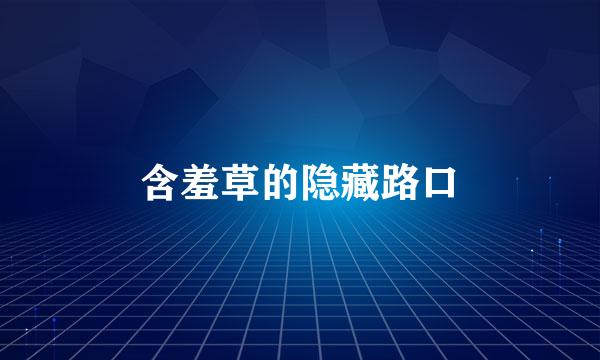 含羞草的隐藏路口