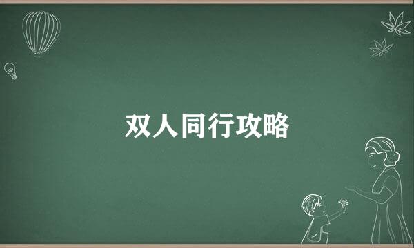 双人同行攻略