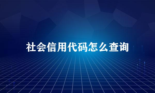 社会信用代码怎么查询