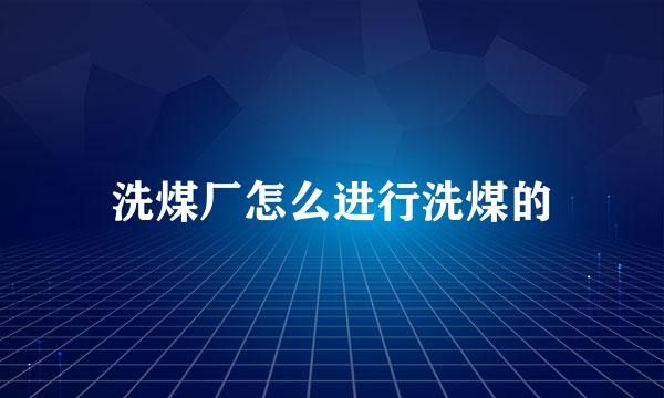 洗煤厂怎么进行洗煤的