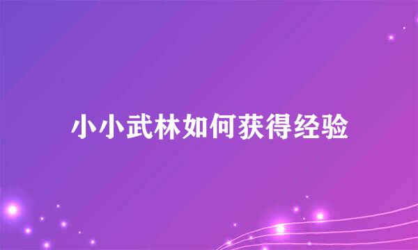 小小武林如何获得经验