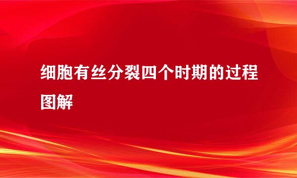 细胞有丝分裂四个时期的过程图解