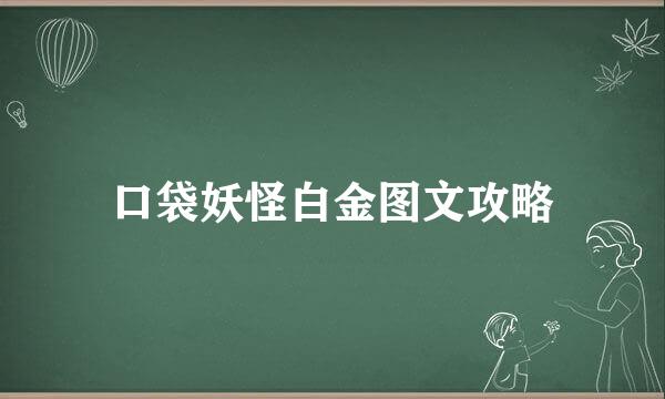 口袋妖怪白金图文攻略