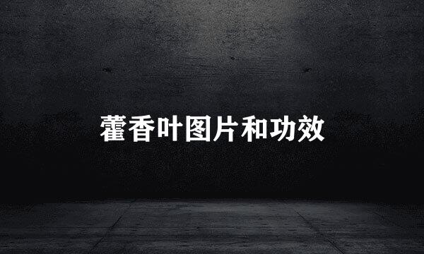藿香叶图片和功效