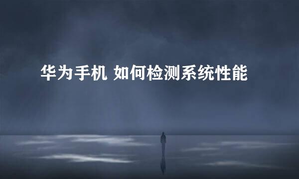 华为手机 如何检测系统性能