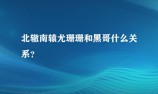 北辙南辕尤珊珊和黑哥什么关系？