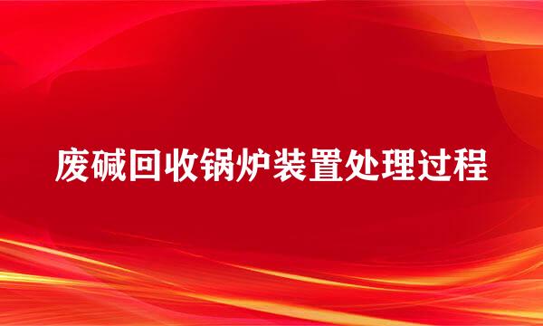 废碱回收锅炉装置处理过程