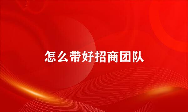 怎么带好招商团队