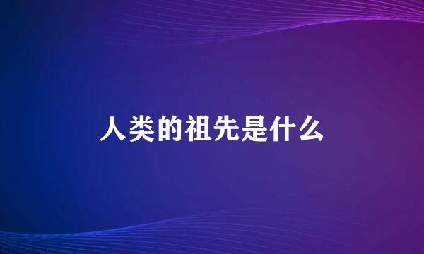 人类的祖先是什么