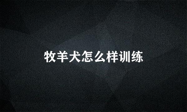 牧羊犬怎么样训练