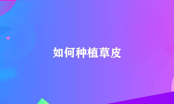 如何种植草皮