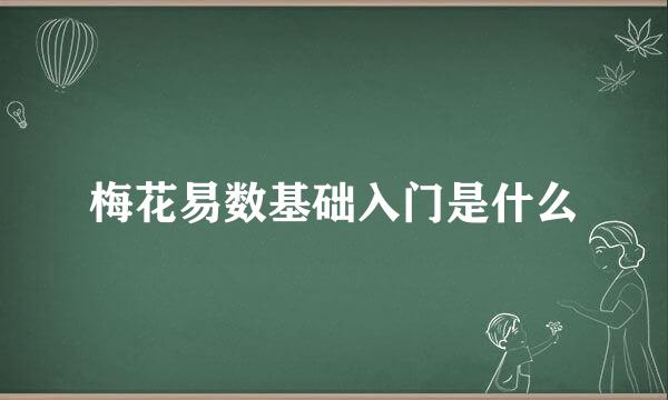 梅花易数基础入门是什么