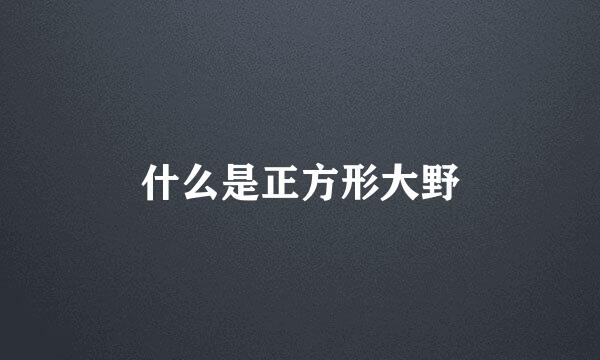 什么是正方形大野