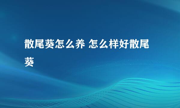 散尾葵怎么养 怎么样好散尾葵