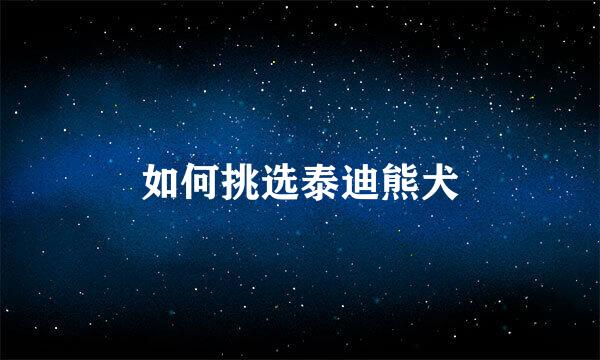 如何挑选泰迪熊犬