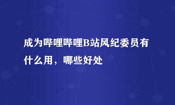 成为哔哩哔哩B站风纪委员有什么用，哪些好处
