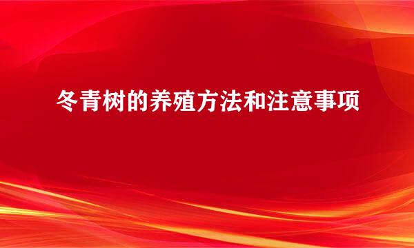 冬青树的养殖方法和注意事项