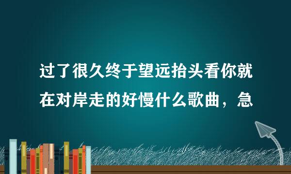 过了很久终于望远抬头看你就在对岸走的好慢什么歌曲，急