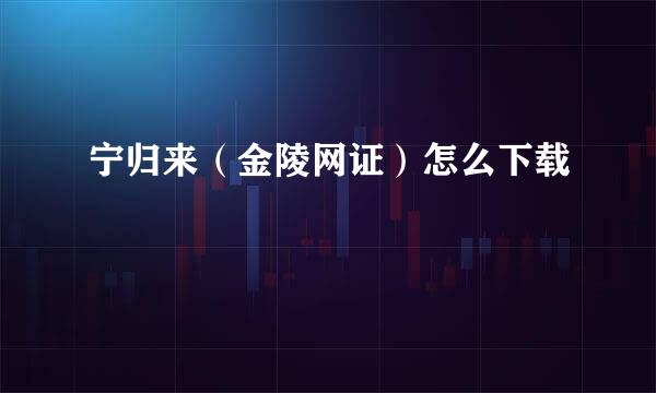 宁归来（金陵网证）怎么下载