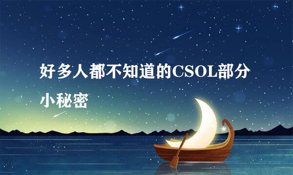 好多人都不知道的CSOL部分小秘密