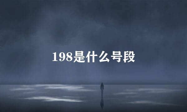 198是什么号段