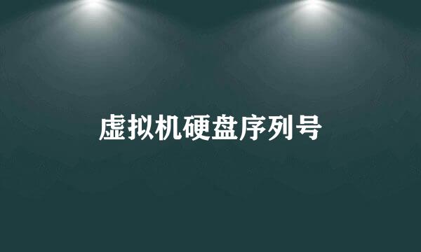 虚拟机硬盘序列号