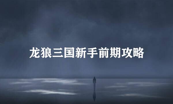 龙狼三国新手前期攻略