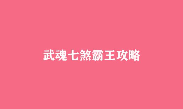 武魂七煞霸王攻略