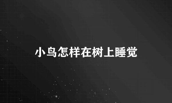 小鸟怎样在树上睡觉