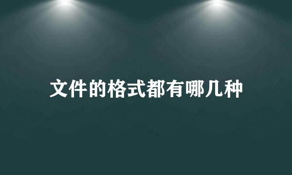 文件的格式都有哪几种